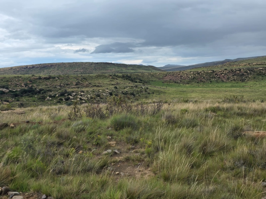 4 Bedroom Property for Sale in Jamestown Eastern Cape